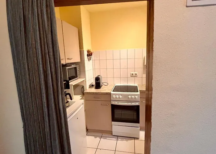 Apartment Goetheblick *